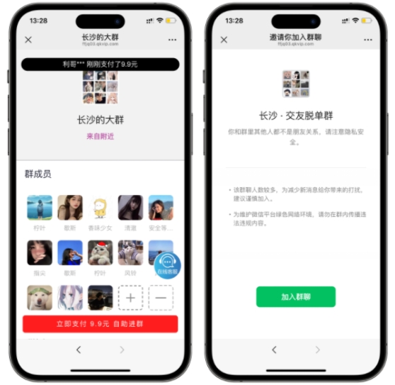 付费进群数据大屏开源二开版系统